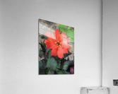 Coral flower Acrylic Print
