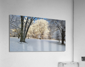 Ice on tree Acrylic Print