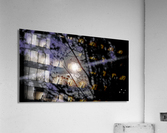 Moon through trees Acrylic Print