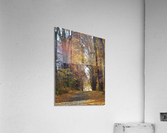 Road in fall Acrylic Print