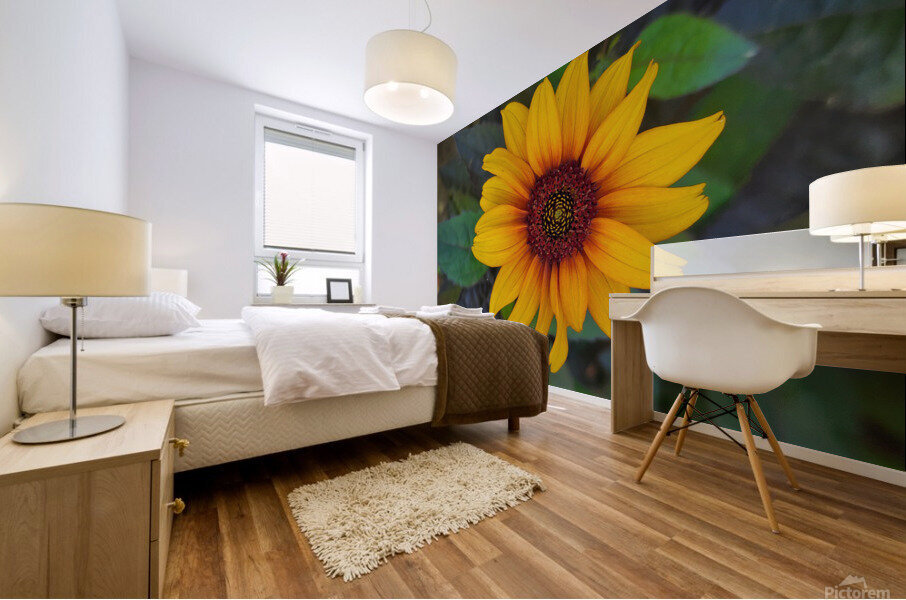 Rustic daisy flower 2 Mural print