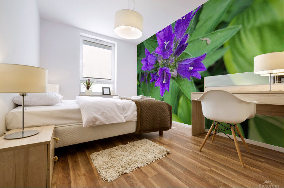 Purple flower Mural print