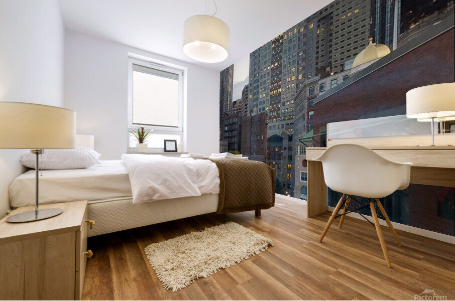 Boston skyline 2 Mural print