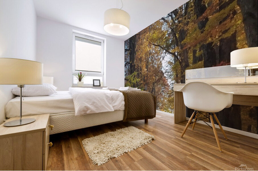 Road in fall Mural print