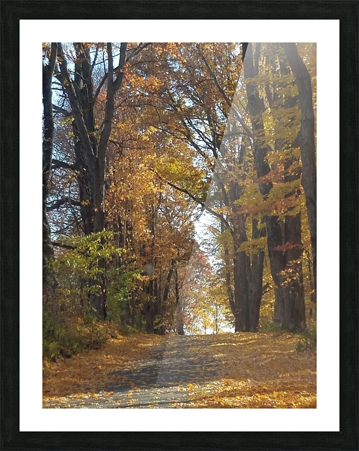 Road in fall Picture Frame print
