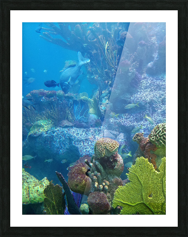 Ocean coral Picture Frame print