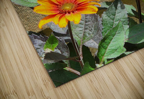 Rustic daisy TheStableLabel puzzle