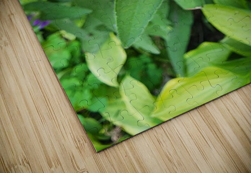 Purple flower TheStableLabel puzzle