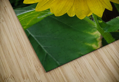 Sunflower with bumblebee TheStableLabel puzzle