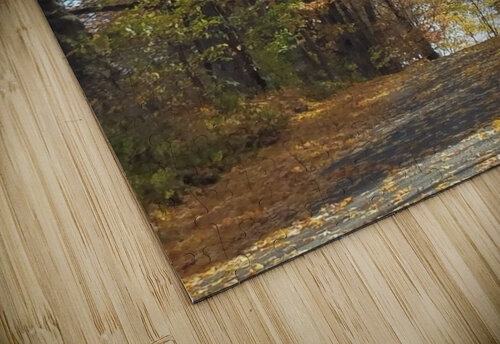 Road in fall TheStableLabel puzzle