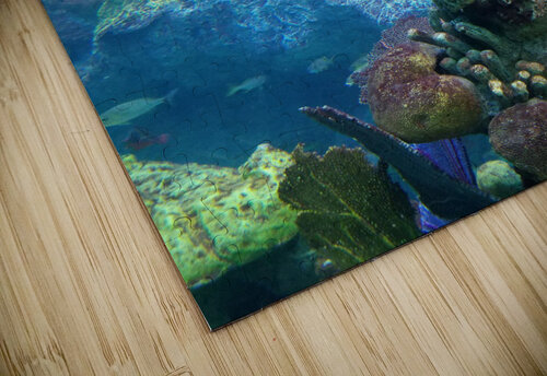 Ocean coral TheStableLabel puzzle