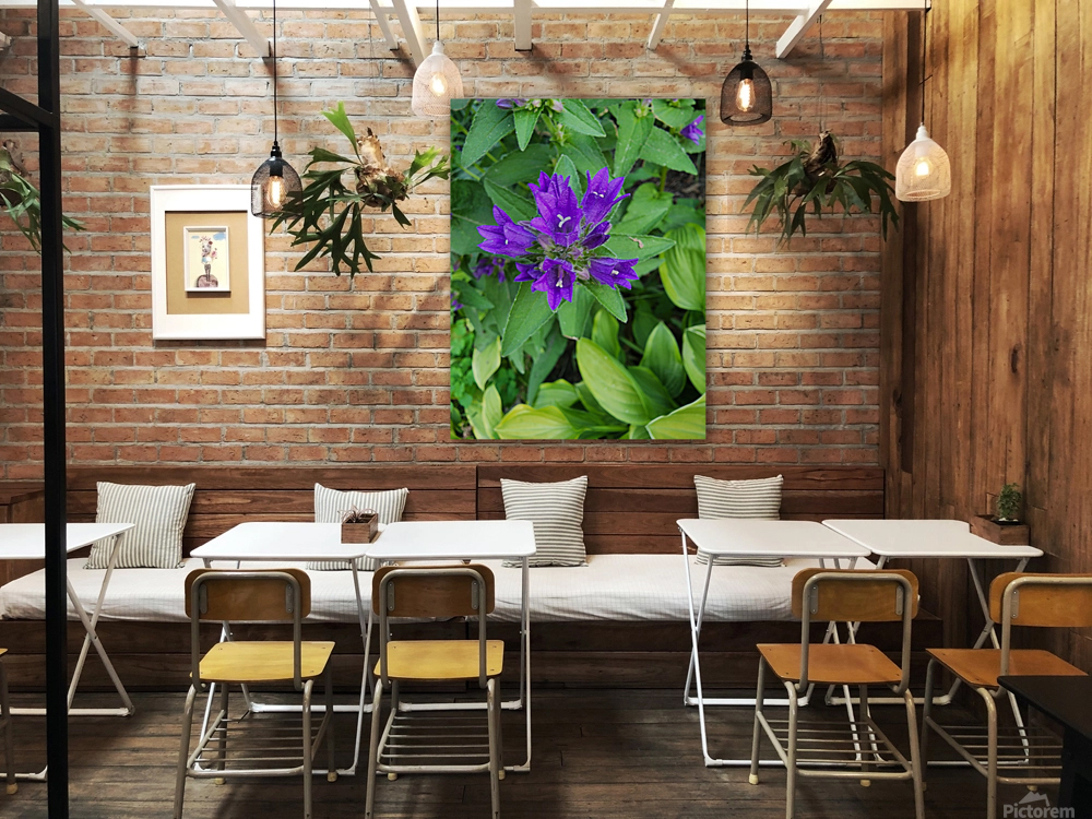 Purple flower Reproduction