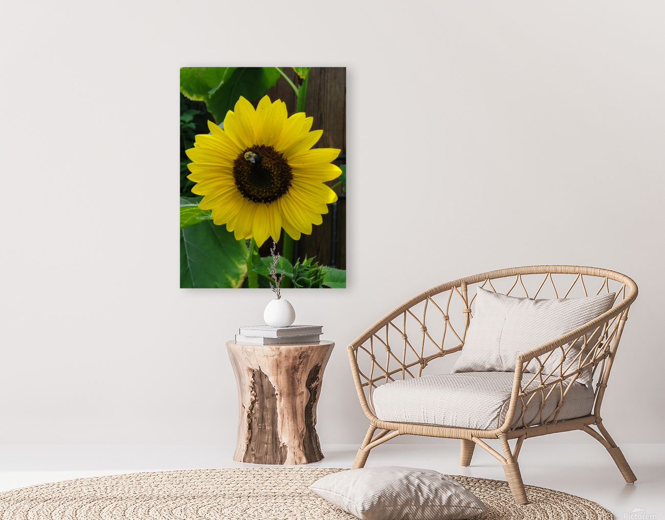 Sunflower with bumblebee Reproduction