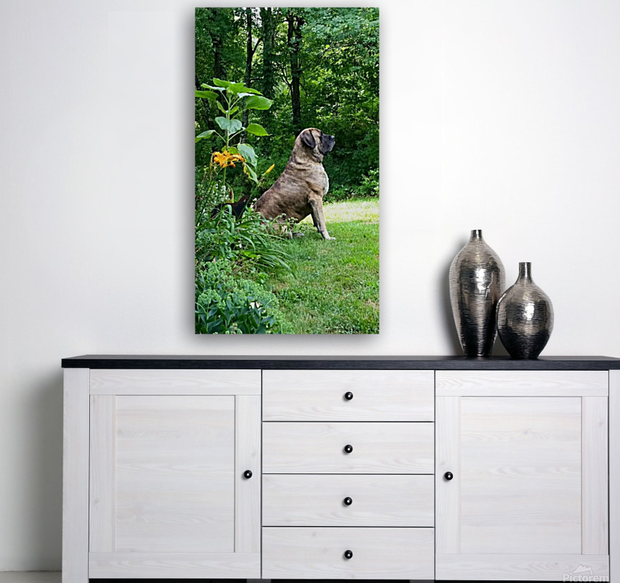 Mastiff pose Reproduction