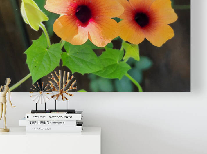 Thunbergia 1 by TheStableLabel