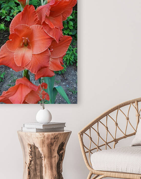 Coral flower lily by TheStableLabel