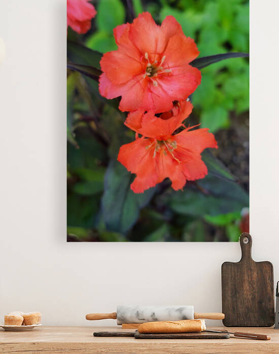 Coral flower cluster by TheStableLabel