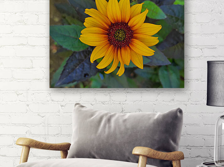 Rustic daisy flower 2 by TheStableLabel