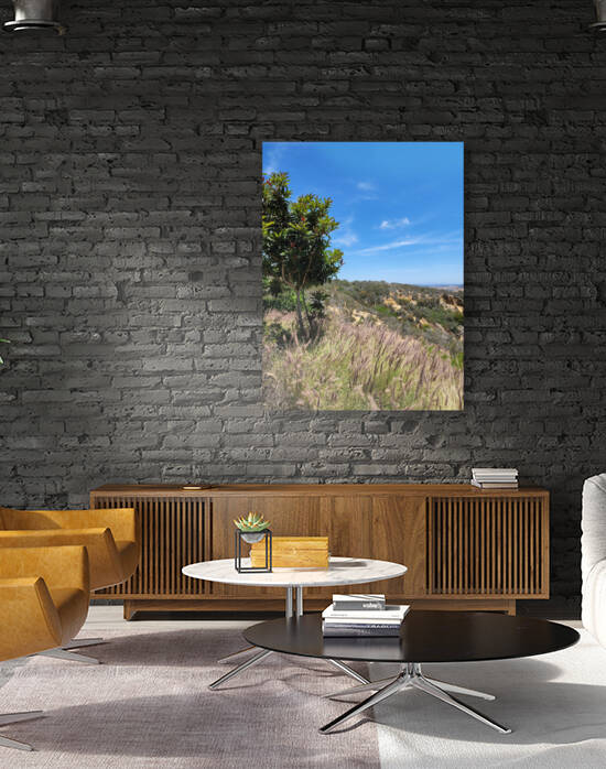 San Diego landscape 2 by TheStableLabel
