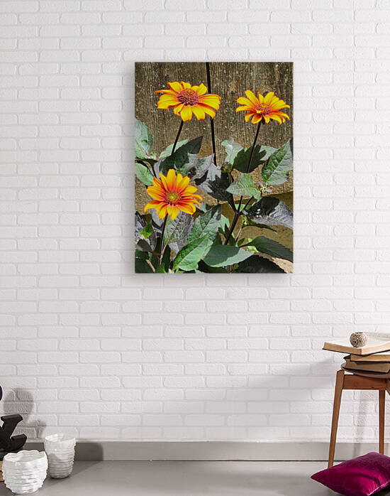 Rustic daisy by TheStableLabel