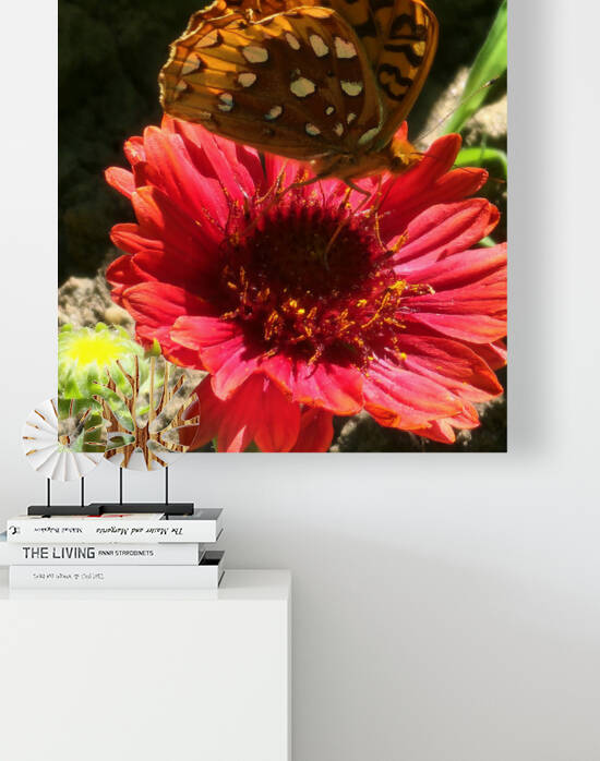 Butterfly coral flower  by TheStableLabel