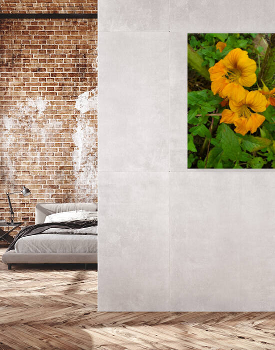 Nasturtium yellow orange by TheStableLabel