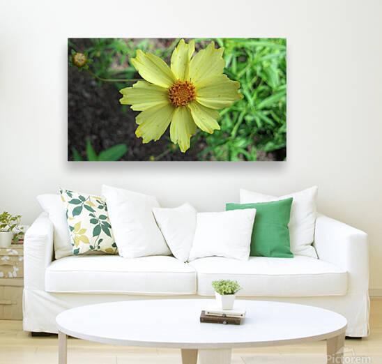 Yellow flower by TheStableLabel