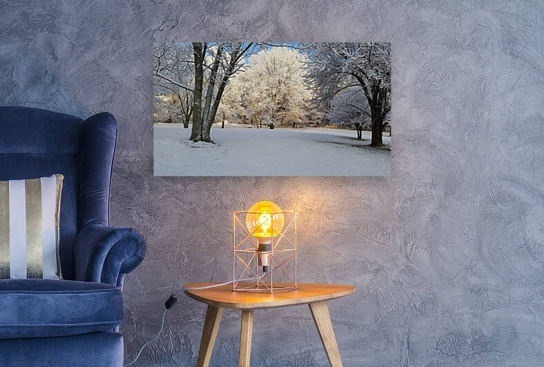 Ice on tree by TheStableLabel