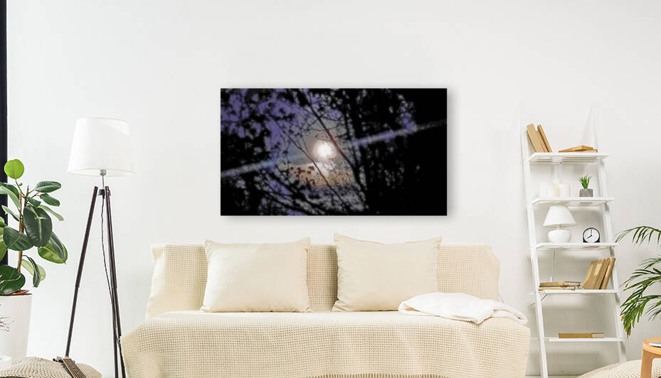 Moon through trees by TheStableLabel