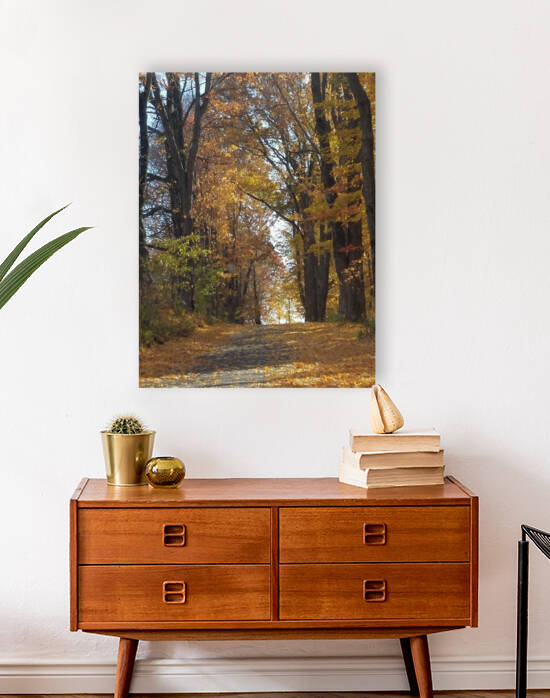 Road in fall by TheStableLabel