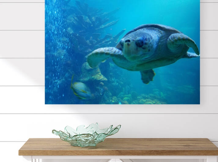 Seaturtle  by TheStableLabel