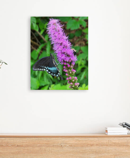 Butterfly and bee on purple flower by TheStableLabel