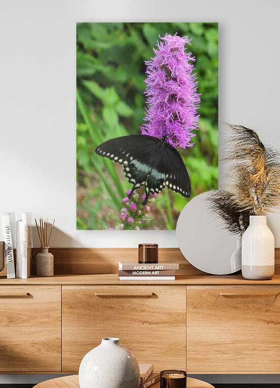  Black Butterfly on purple flower by TheStableLabel
