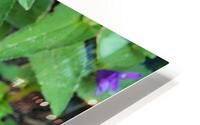 Purple flower HD Metal print
