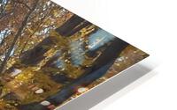 Road in fall HD Metal print