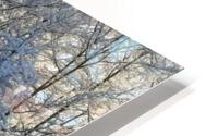 Winter road HD Metal print