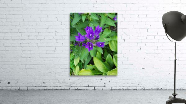 Purple flower Wall Preview