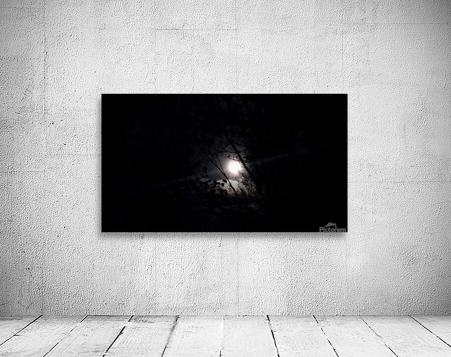 Dark moon Wall Preview