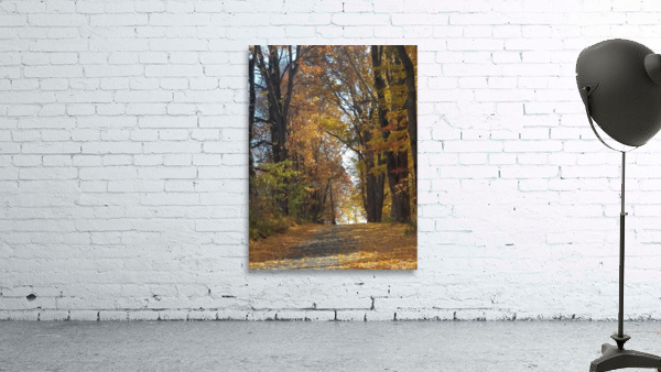 Road in fall Wall Preview