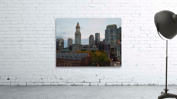 Boston skyline Wall Preview