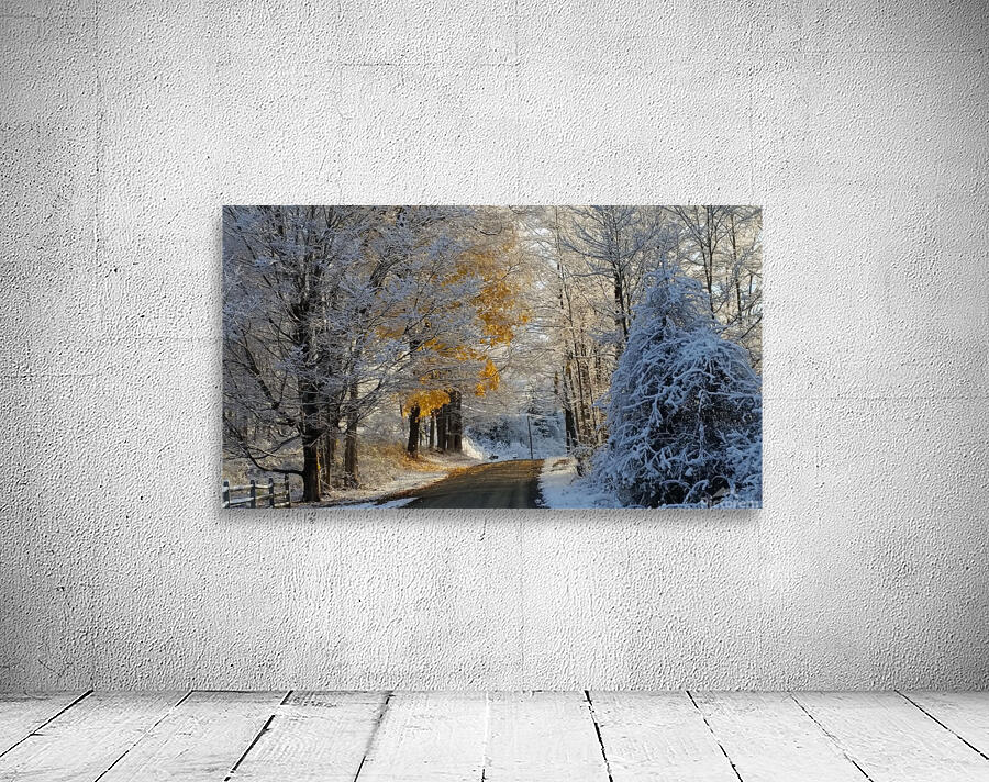 Winter road Wall Preview