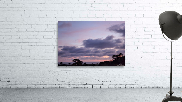 Purple evening Wall Preview