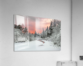 DSC_9599 1     1    LAB Acrylic Print