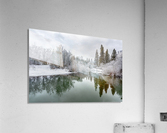 DSC_5116 10 Acrylic Print