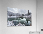 DSC_5118 10   1    V1 Acrylic Print