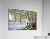 DSC_1273 10 Acrylic Print
