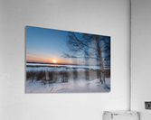 DSC_5952 1 Acrylic Print