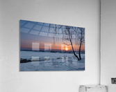 DSC_5963 1 Acrylic Print