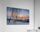 DSC_5970 1 Acrylic Print