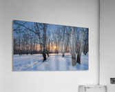 DSC_5937 1    2 Acrylic Print